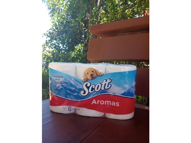 papel higuienico scott 6 rollos papel higuienico scott 6 rollos/ venta sólo sector Los Romeros. Concón