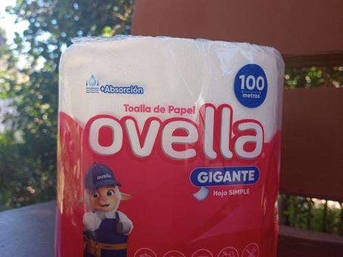Toalla de papel absorvente Ovella Gigante