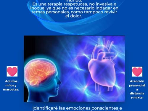 Sesión de terapia crisis de pánico, ansiedad, angustia